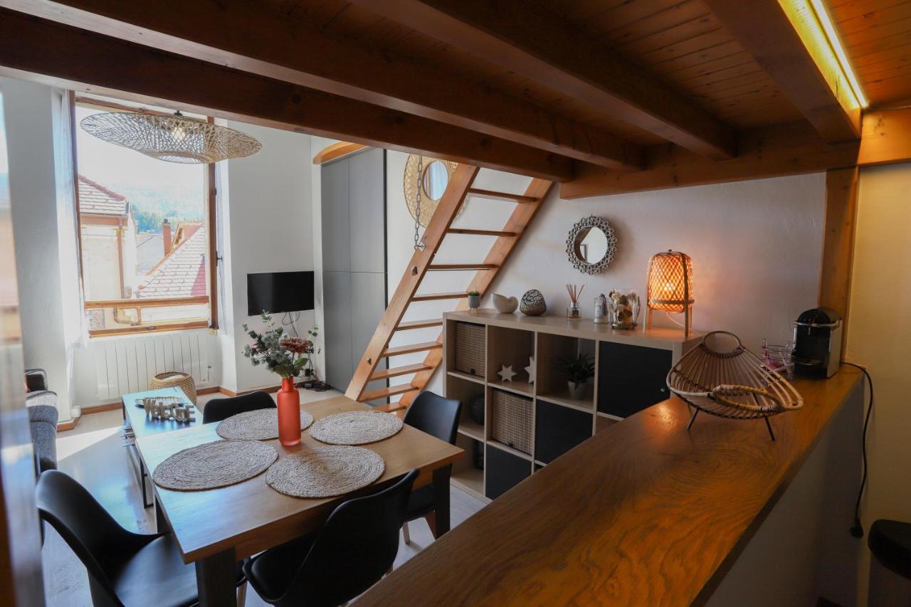 Royalement Bien ! Hyper-Centre - Wifi - Netflix - Disney Plus Annecy Luaran gambar