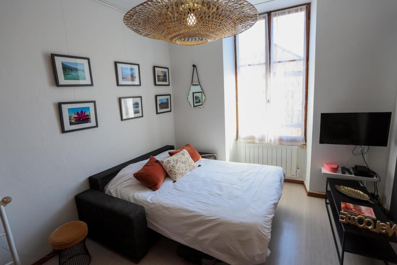 Royalement Bien ! Hyper-Centre - Wifi - Netflix - Disney Plus Annecy Luaran gambar