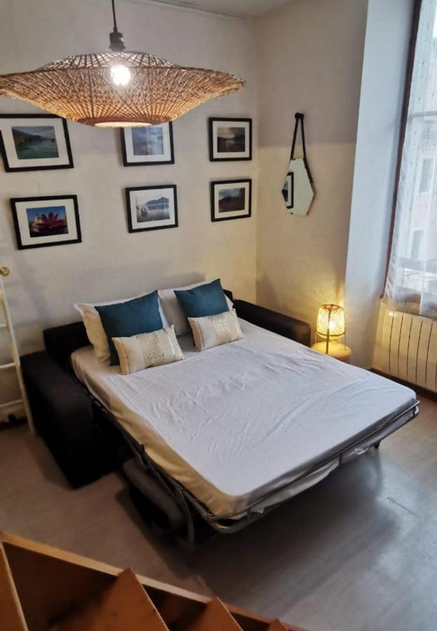 Royalement Bien ! Hyper-Centre - Wifi - Netflix - Disney Plus Annecy Luaran gambar